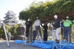 飯田、松本、甲府の３カ所で公共施設の塗装ボランティアを行いました【2】