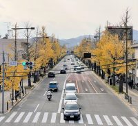 「第42回八王子いちょう祭り」に参加しました