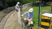 2024年度の塗装ボランティアを行いました【1】飯田動物園／かざこし子どもの森公園