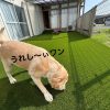 飯田市 外構リフォーム工事